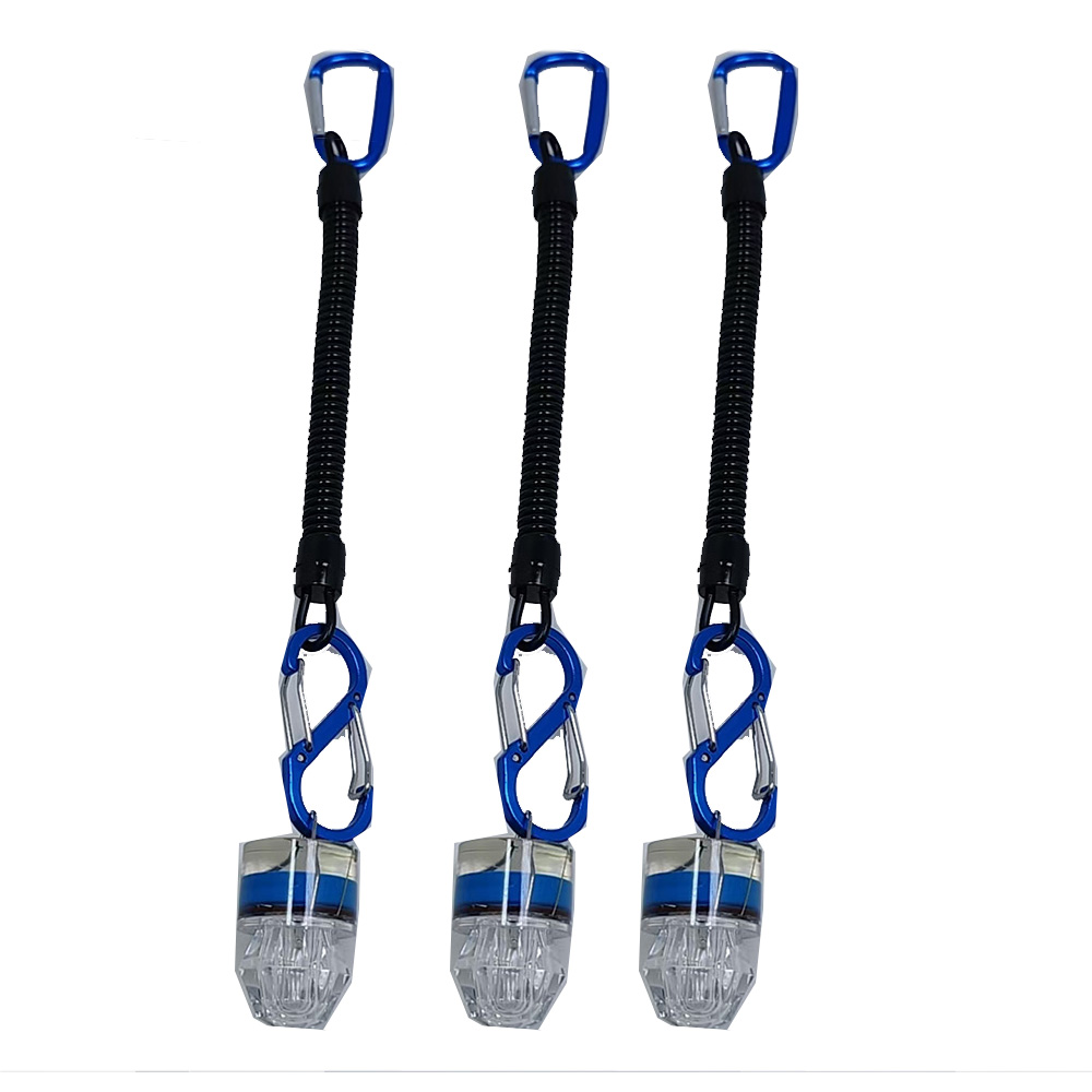 2-3PCS LED Fishing Lights With - огляд і ціна Fish Alarm
