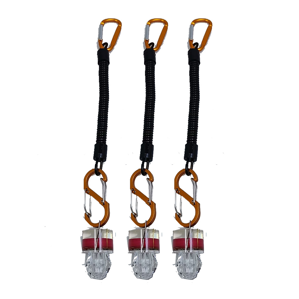 2-3PCS LED Fishing Lights With - огляд і ціна Fish Alarm
