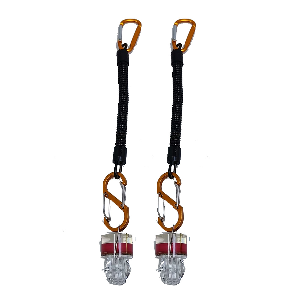 2-3PCS LED Fishing Lights With - огляд і ціна Fish Alarm
